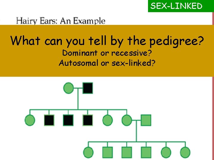 SEX-LINKED What can you tell by the pedigree? Dominant or recessive? Autosomal or sex-linked?