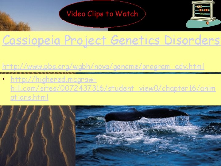 Video Clips to Watch Cassiopeia Project Genetics Disorders http: //www. pbs. org/wgbh/nova/genome/program_adv. html •
