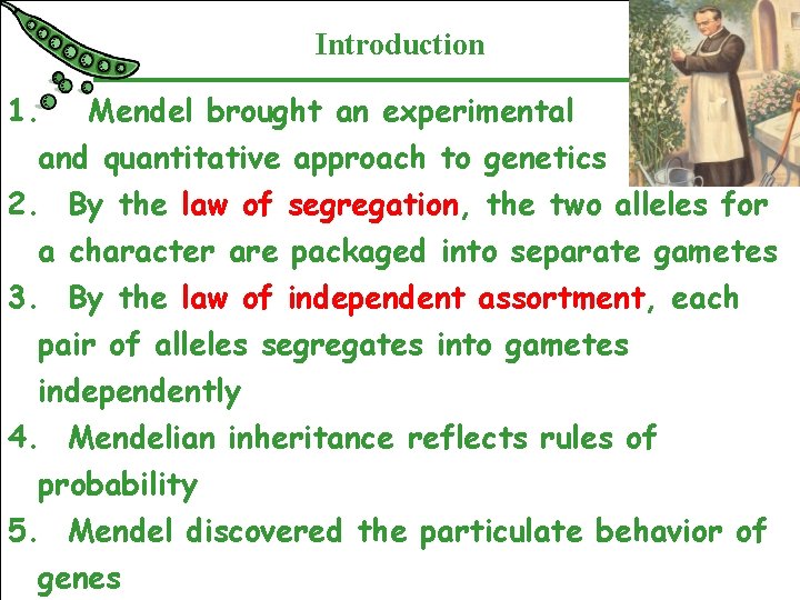 Introduction 1. Mendel brought an experimental and quantitative approach to genetics 2. By the