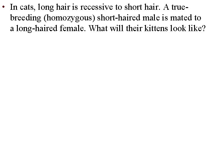 • In cats, long hair is recessive to short hair. A truebreeding (homozygous)