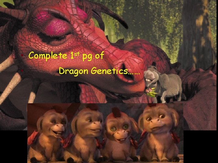  • Complete 1 st pg of • Dragon Genetics…… 