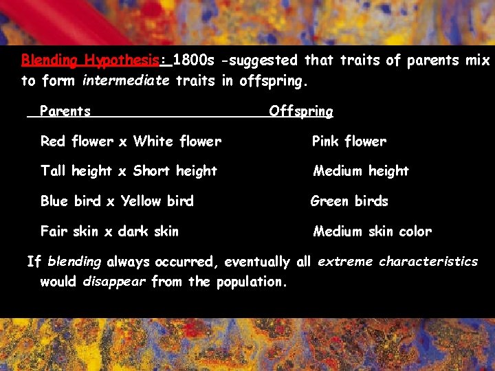 Blending Hypothesis: 1800 s -suggested that traits of parents mix to form intermediate traits