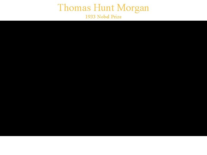 Thomas Hunt Morgan 1933 Nobel Prize 