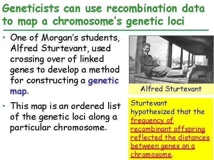 Geneticists can use recombination data to map a chromosome’s genetic loci • One of