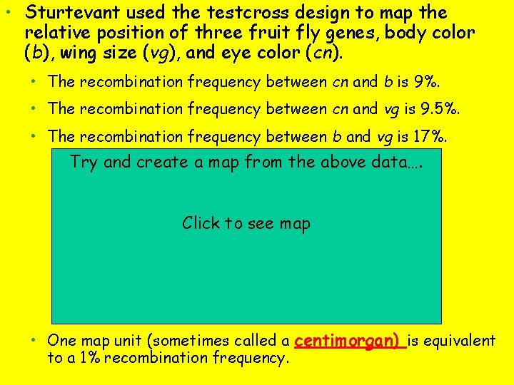  • Sturtevant used the testcross design to map the relative position of three