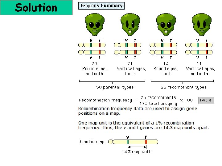 Solution 