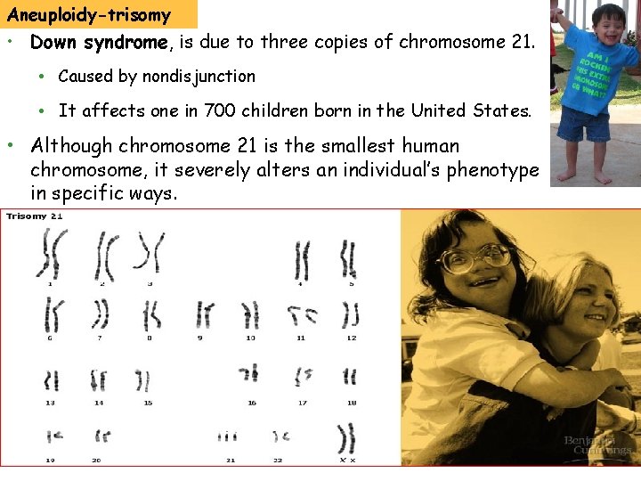 Aneuploidy-trisomy • Down syndrome, is due to three copies of chromosome 21. • Caused