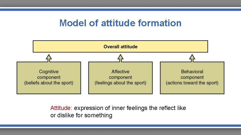 Model of attitude formation Attitude: expression of inner feelings the reflect like or dislike