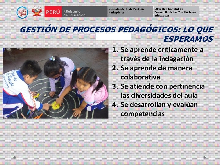 Viceministerio de Gestión Pedagógica Dirección General de Desarrollo de las Instituciones Educativas GESTIÓN DE