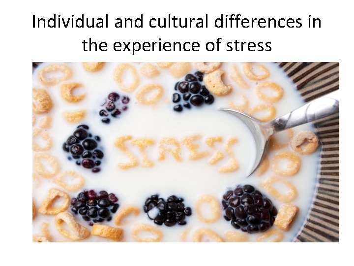 Individual and cultural differences in the experience of stress 