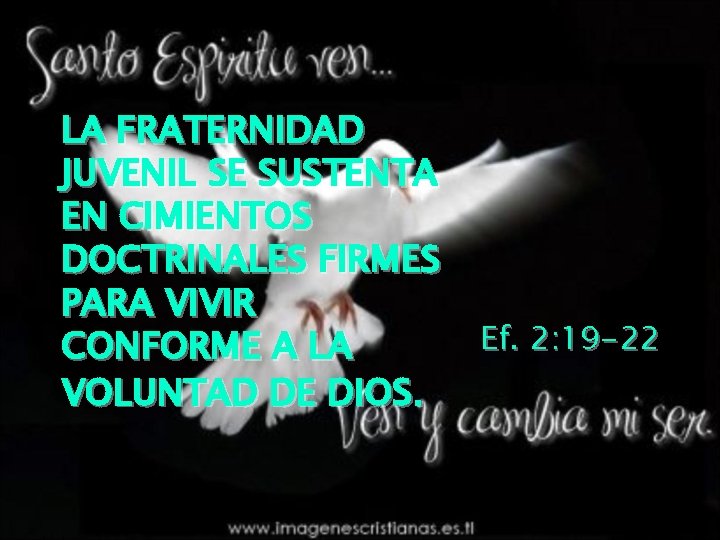 LA FRATERNIDAD JUVENIL SE SUSTENTA EN CIMIENTOS DOCTRINALES FIRMES PARA VIVIR CONFORME A LA LA FRATERNIDAD JUVENIL SE SUSTENTA EN CIMIENTOS DOCTRINALES FIRMES PARA VIVIR CONFORME A LA