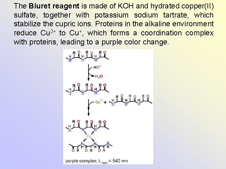 The Biuret reagent is made of KOH and hydrated copper(II) sulfate, together with potassium