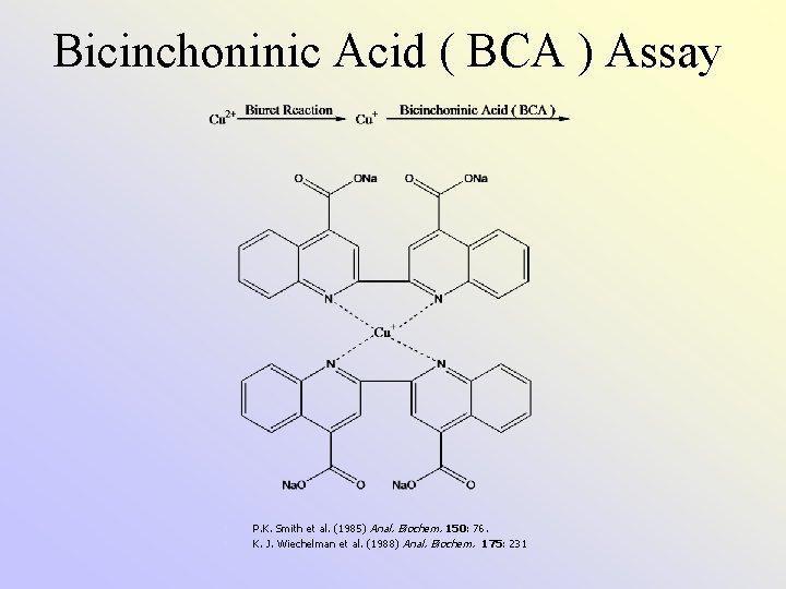 Bicinchoninic Acid ( BCA ) Assay • • P. K. Smith et al. (1985)