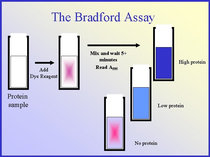 The Bradford Assay Add Dye Reagent Mix and wait 5+ minutes Read A 595