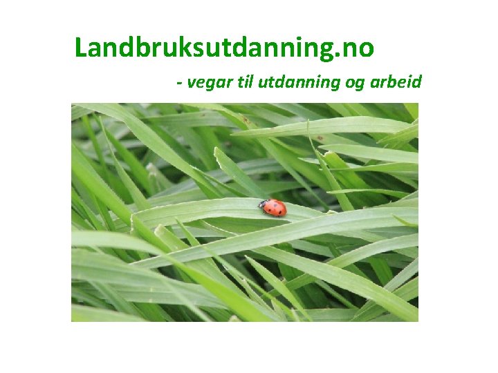 Landbruksutdanning. no - vegar til utdanning og arbeid 