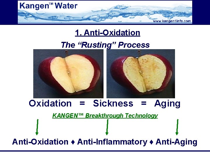 1. Anti-Oxidation The “Rusting” Process Oxidation = Sickness = Aging KANGEN™ Breakthrough Technology Anti-Oxidation