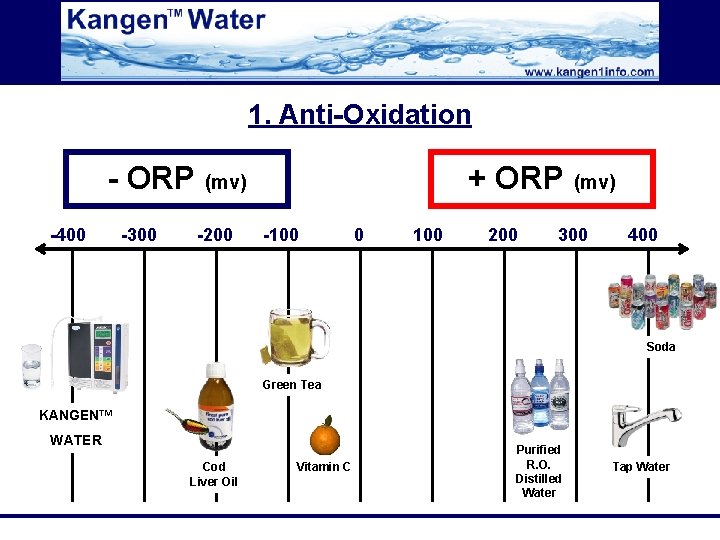 1. Anti-Oxidation - ORP (mv) -400 -300 -200 + ORP (mv) -100 0 100
