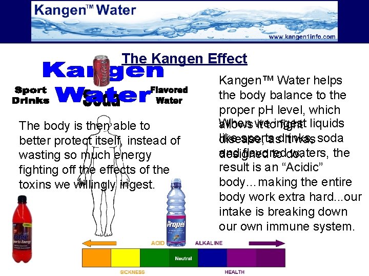 The Kangen Effect The body is then able to better protect itself, instead of