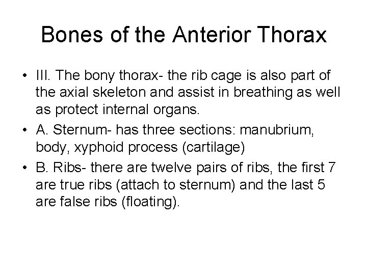 Bones of the Anterior Thorax • III. The bony thorax- the rib cage is