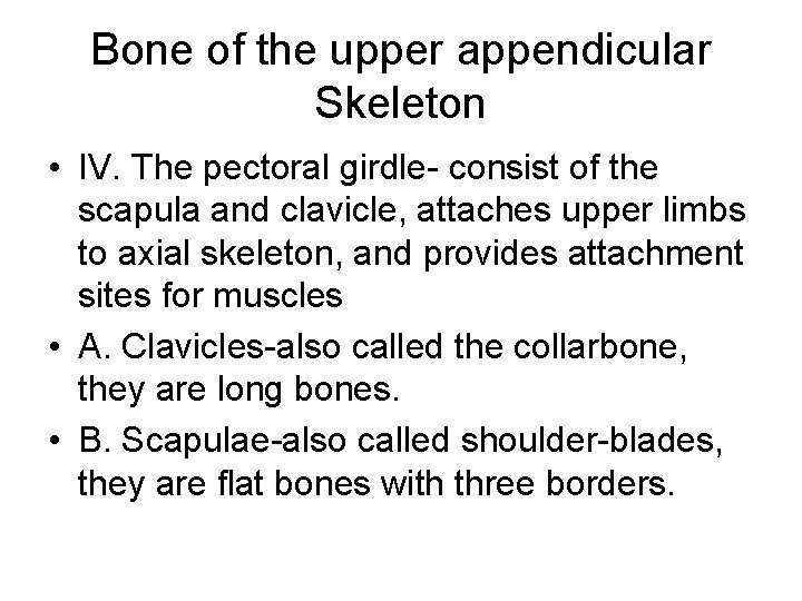 Bone of the upper appendicular Skeleton • IV. The pectoral girdle- consist of the
