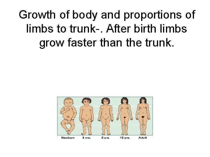 Growth of body and proportions of limbs to trunk-. After birth limbs grow faster