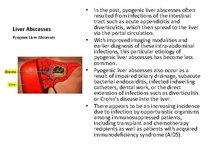 Liver Abscesses Pyogenic Liver Abscesses • In the past, pyogenic liver abscesses often resulted