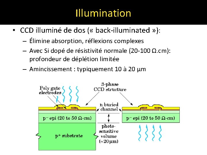 Illumination • CCD illuminé de dos ( « back-illuminated » ): – Élimine absorption,