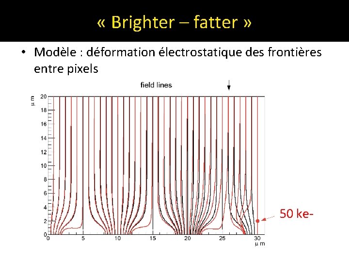  « Brighter – fatter » • Modèle : déformation électrostatique des frontières entre