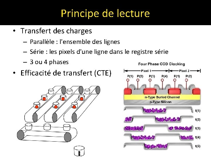 Principe de lecture • Transfert des charges – Parallèle : l'ensemble des lignes –