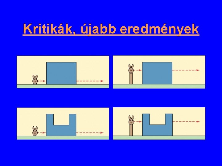 Kritikák, újabb eredmények Kritikák, újabb eredmények