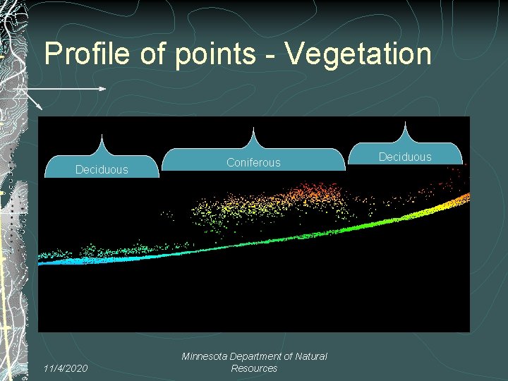 Profile of points - Vegetation Deciduous 11/4/2020 Coniferous Minnesota Department of Natural Resources Deciduous
