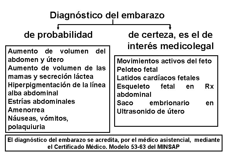 Diagnóstico del embarazo de probabilidad Aumento de volumen del abdomen y útero Aumento de