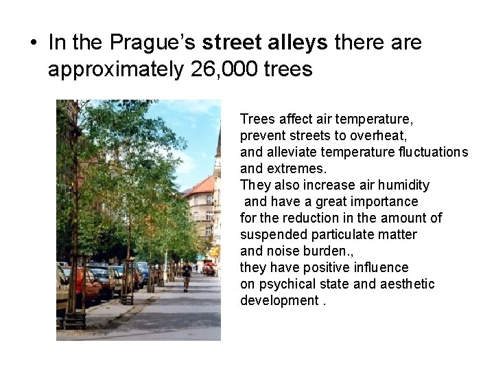  • In the Prague’s street alleys there approximately 26, 000 trees Trees affect