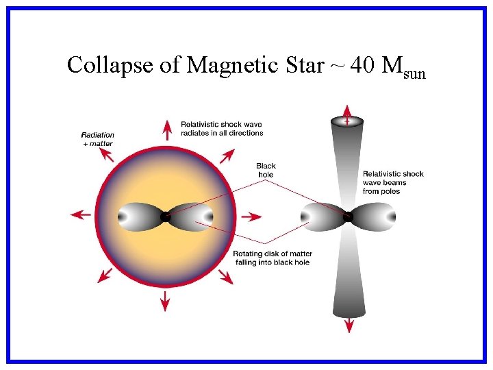 Collapse of Magnetic Star ~ 40 Msun Collapse of Magnetic Star ~ 40 Msun