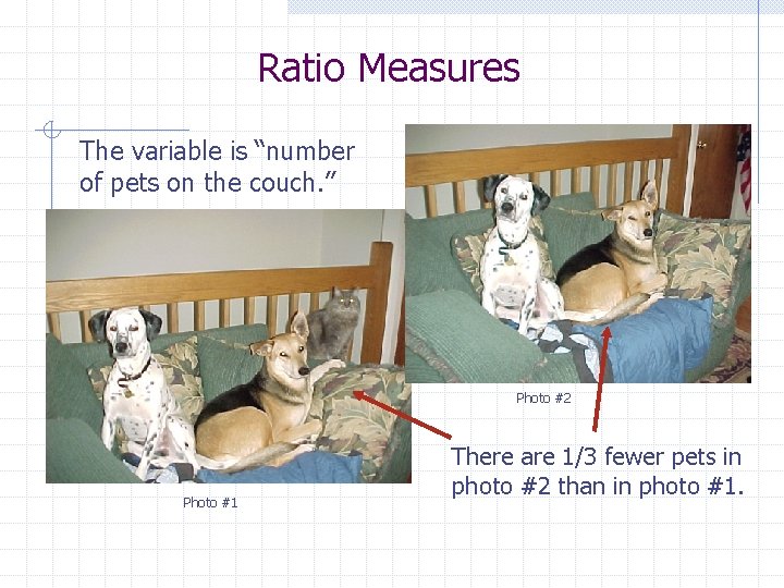 Ratio Measures The variable is “number of pets on the couch. ” Photo #2