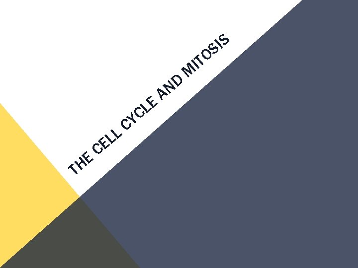 E L C T E H L E C Y C L D AN E L C T E H L E C Y C L D AN
