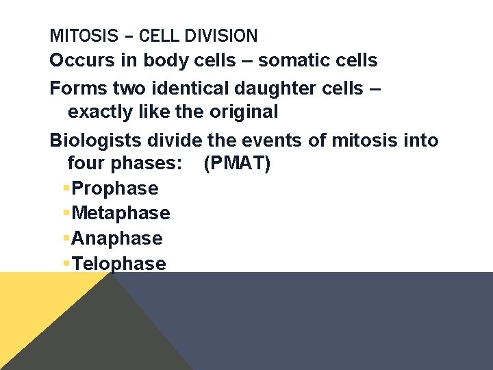 MITOSIS – CELL DIVISION Occurs in body cells – somatic cells Forms two identical MITOSIS – CELL DIVISION Occurs in body cells – somatic cells Forms two identical