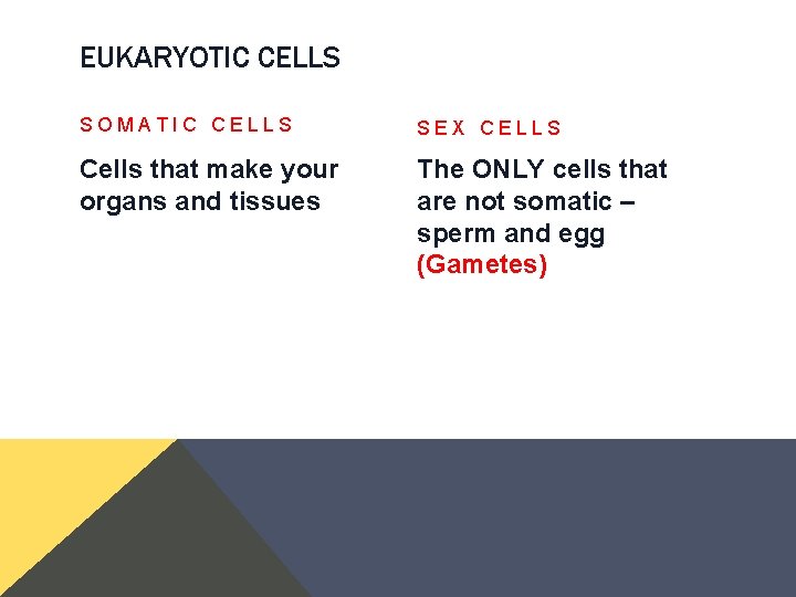 EUKARYOTIC CELLS SOMATIC CELLS SEX CELLS Cells that make your organs and tissues The EUKARYOTIC CELLS SOMATIC CELLS SEX CELLS Cells that make your organs and tissues The