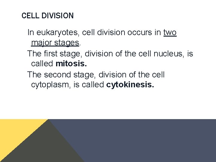 CELL DIVISION In eukaryotes, cell division occurs in two major stages. The first stage, CELL DIVISION In eukaryotes, cell division occurs in two major stages. The first stage,