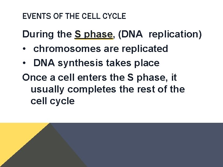 EVENTS OF THE CELL CYCLE During the S phase, phase (DNA replication) • chromosomes EVENTS OF THE CELL CYCLE During the S phase, phase (DNA replication) • chromosomes