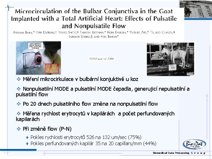 v v Měření mikrocirkulace v bulbární konjuktivě u koz v Nonpulsatilní MODE a pulsatilní