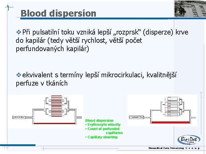 Blood dispersion v Při pulsatilní toku vzniká lepší „rozprsk“ (disperze) krve do kapilár (tedy