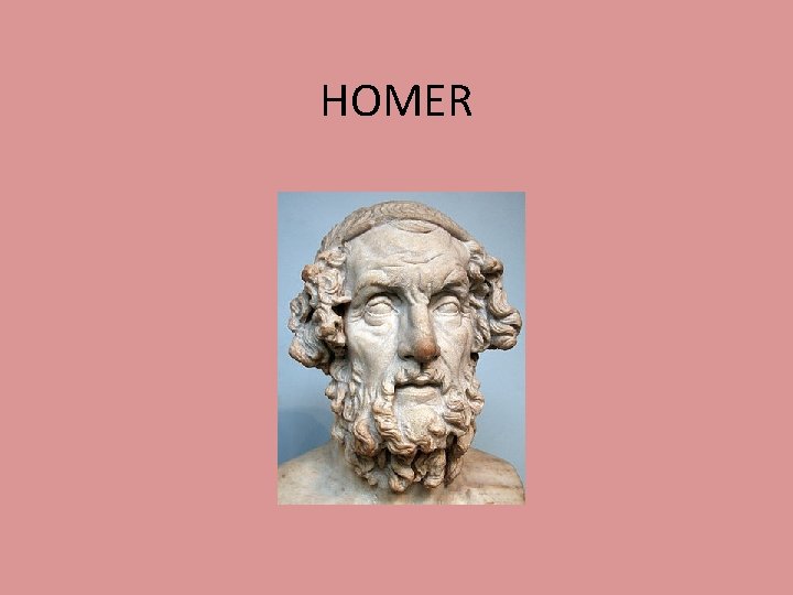 HOMER 