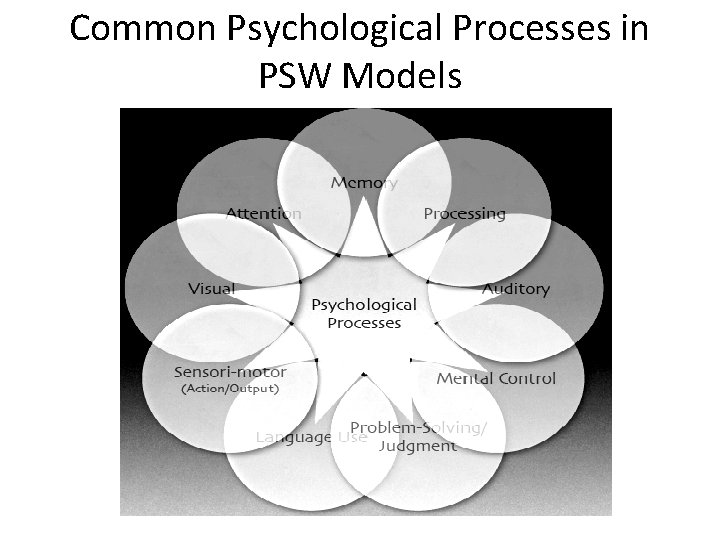 Common Psychological Processes in PSW Models 