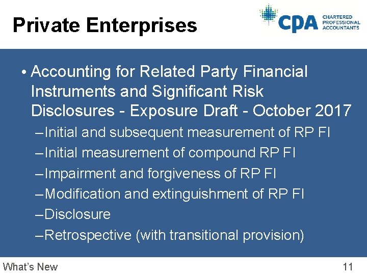 Private Enterprises • Accounting for Related Party Financial Instruments and Significant Risk Disclosures -