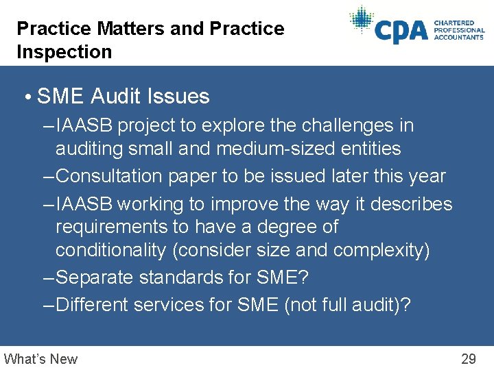 Practice Matters and Practice Inspection • SME Audit Issues – IAASB project to explore