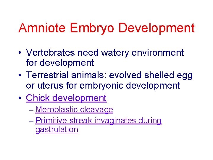 Amniote Embryo Development • Vertebrates need watery environment for development • Terrestrial animals: evolved