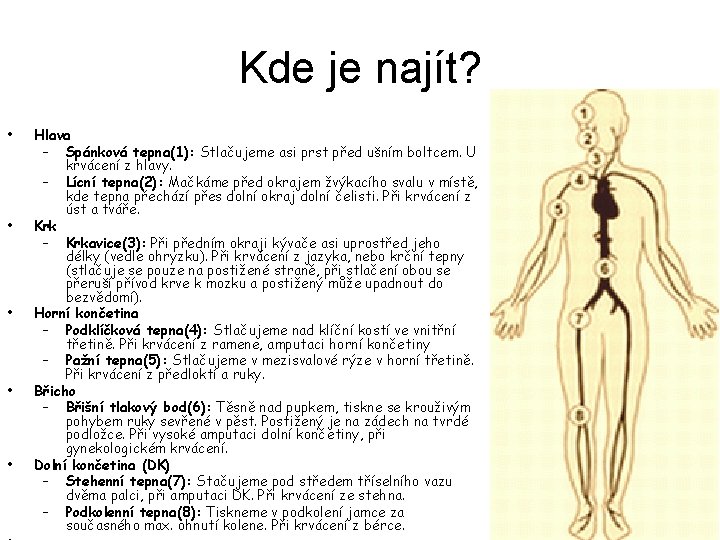 Kde je najít? • • • Hlava – Spánková tepna(1): Stlačujeme asi prst před