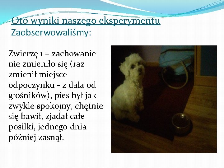 Oto wyniki naszego eksperymentu Zaobserwowaliśmy: Zwierzę 1 – zachowanie zmieniło się (raz zmienił miejsce