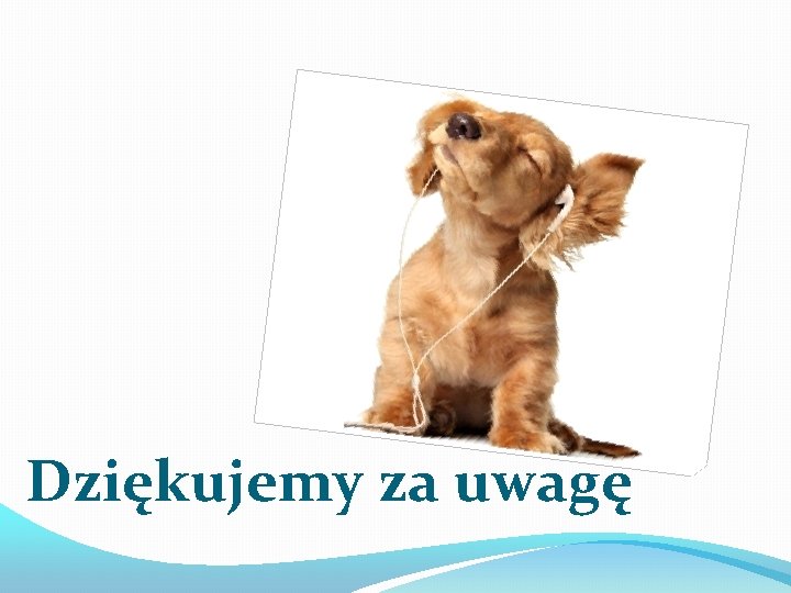 Dziękujemy za uwagę Dziękujemy za uwagę